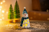 Philadelphia Eagles Snowman LED - Eclectic-Sports
